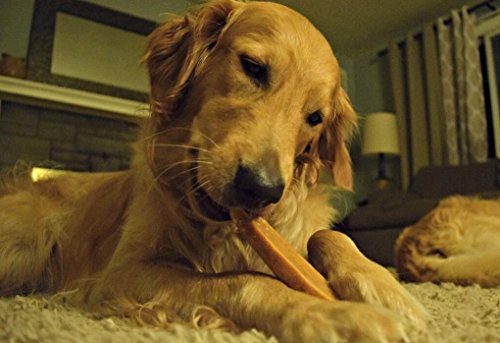 EcoKind Himalayan Yak Cheese Dog Chew | All Natural Premium Dog Treats, Healthy & Safe for Dogs, Long Lasting, Treats for Dogs, Easily Digestible, for All Breeds & Sizes (Large, 4-Pack) - Thumbnail 6
