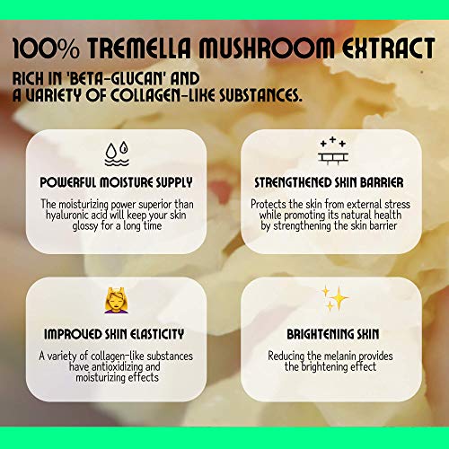 Chasin' Rabbits Magic Beauty Shroom Essence | Korean Skin Care Nourishing And Hydrating Essence | Boosting Skin Care Essence With Tremella Mushroom Extract For Sensitive, Dry Skin (20Ml/6.76 Fl Oz) #TOP3