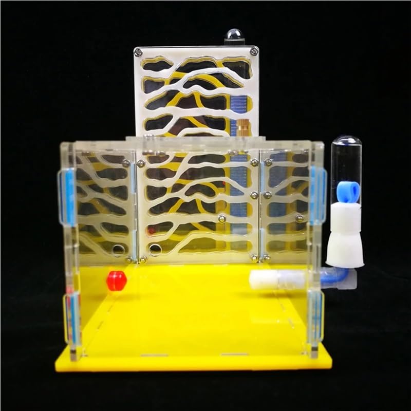 Kit de Granja de Hormigas Transparente for observación de colonias de Hormigas. Casa de Hormigas for entusiastas de la Ciencia.(Red)