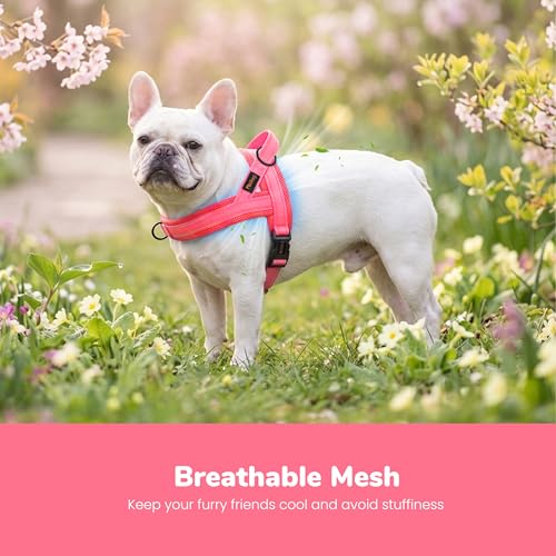 Image of Didog No Pull Dog Harness for Small Dogs, Breathable Mesh Padded, Pink, S