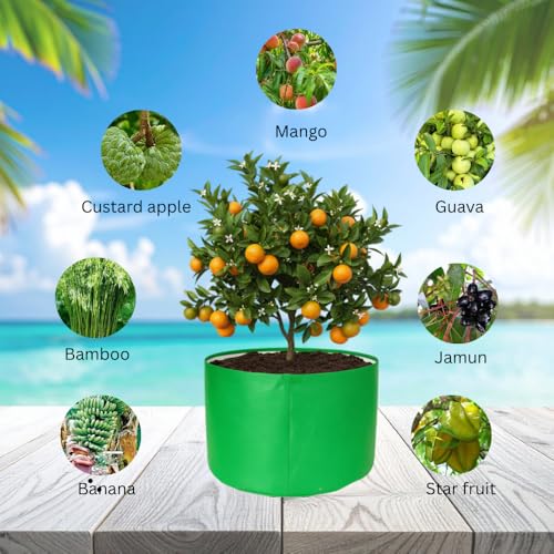 Image of HDPE UV Treated 340 GSM Plant Growing Bags for Terrace Gardening Easy to Use 24 x 15 Inch - Pack of 2