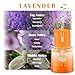 ikeda fragrance Smart Car Air Freshener,100ml Essential Oil Diffuser Aroma Diffuser, 3 Mode Adjustable Mini Scent Spray for Car with Touch Switch, Automotive Humidifier for Gift(Orange, Lavender)
