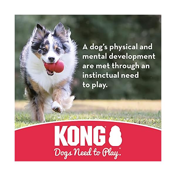 KONG Aqua – Floating Fetch Toy for Water Play – For Large Dogs KONG Aqua – Floating Fetch Toy for Water Play – For Large Dogs