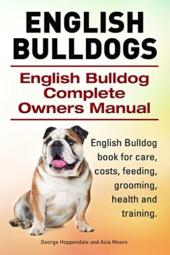english bulldog feeding schedule