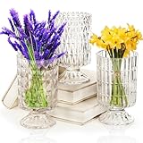 Goaste 3 Pack Embossed Big Base Vase, 7