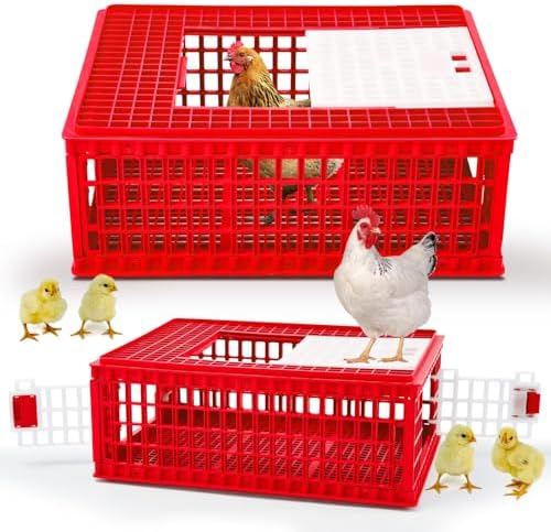 Bird Carrier for Backyard Chickens: Which One Will Keep Your Flock Happy? 8 GlikCeil 2 Pcs Poultry Carrier Crate 3 Door Chicken Transport Cage Plastic Poultry Carrier Basket Box for Chicken Duck Goose Birds, 29.53 x 21.65 x 11.42 Inch(Red)