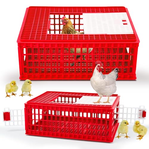 GlikCeil 2 Pcs Poultry Carrier Crate 3 Door Chicken Duck Transport Cage Plastic Poultry Carrier Basket Box for Chicken Duck Goose Birds 29.53 x 21.65 x 11.42 Inch(Red)