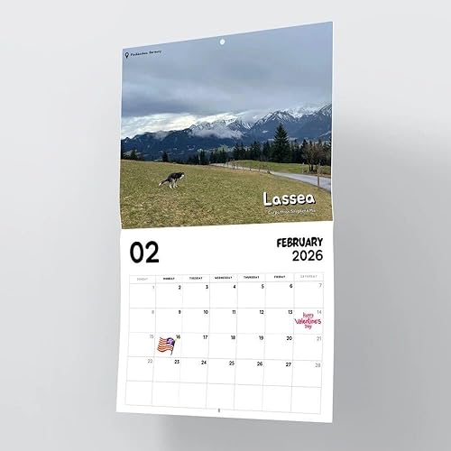 Miniatura 5 de Calendario 2026 de Dogs Pooping In Beautiful Places – Regalo navideño de Navidad con elefante blanco
