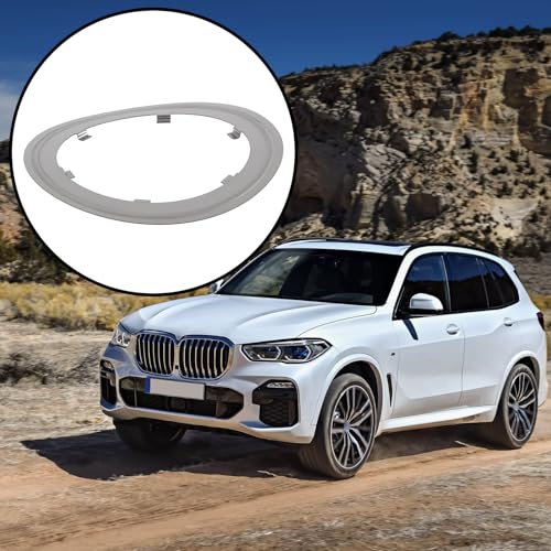 Briny River Auspuffrohrdichtung 18308513651 Kompatibel mit BMW 1 2 3 4 5er X1-X3-X5 F20 F21 E81