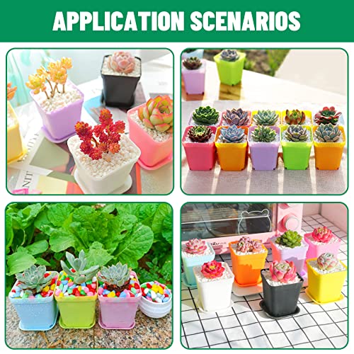 Plant Pots, 18Pcs Plastic Plant Pot, Flower Pots For Indoor Plants 2.75 In × 3.15 In, Plant Pots With Drainage Holes And Saucers, 6 Colors Plastic Planters For Indoor Plants, Flowers, Garden, Outdoor #TOP6