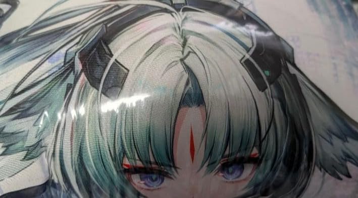 Amazon.co.jp: GIGO限定 アークナイツ エンドフィールド ビッグ