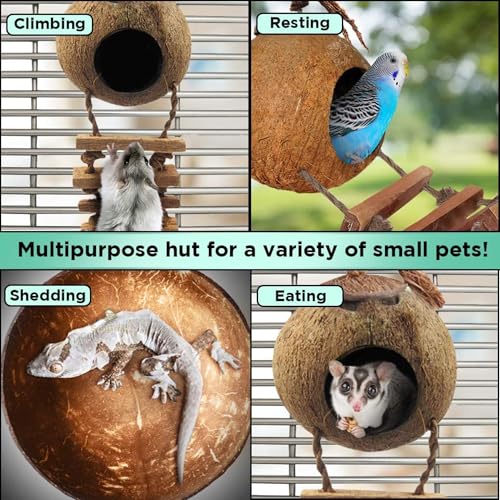 Image of SunGrow Hermit Crab Coco Hut with Ladder, Hamster & Hermit Crab Hideout, Coconut Hide for Reptiles, Crab Cage Climbing Toys, Coconut Shell Mouse House, Habitat Tank Accessories, 5 inch
