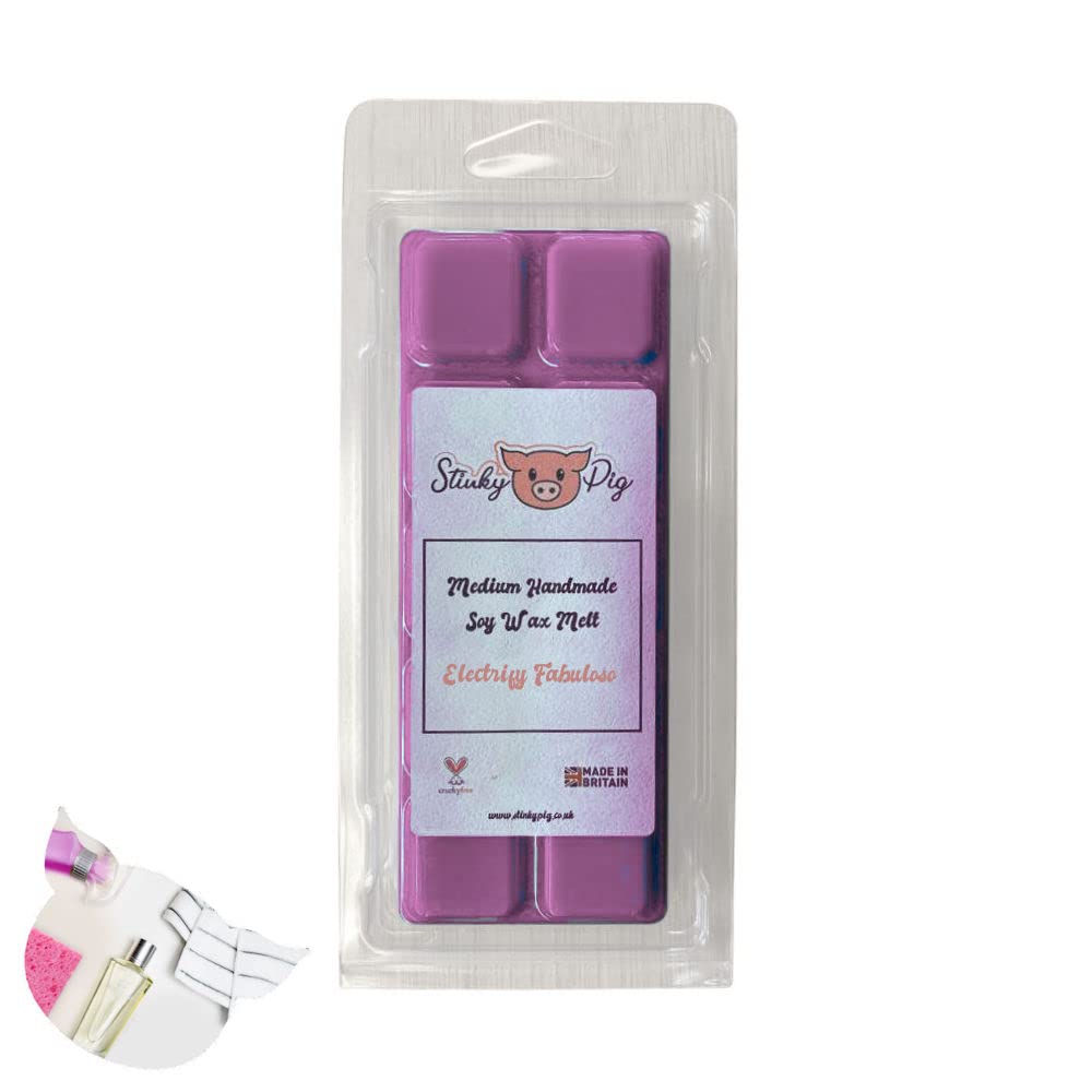 Medium Wax MELT Clamshell BAR - Snap Tart Handcrafted Soy Wax Vegan Long Lasting Highly Scented Handmade Wax Melts (Electrify)