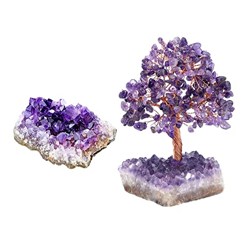 Jovivi Bundle - 2 Items Natural Raw Amethyst Geode Healng Crystals Stone Clusters + Natural Amethyst Healing Crystal Money Tree on Amethyst Cluster