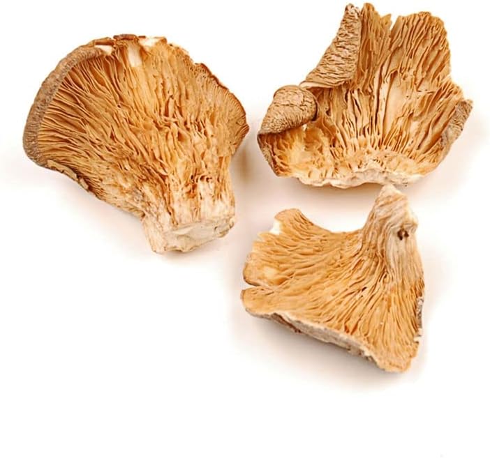 Organic Dried Oyster Mushrooms 1 Pound Bag