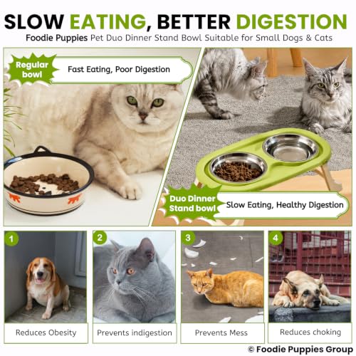 Image of Foodie Puppies Pet Duo Dinner Stand Stainless Steel Bowl - (Green) | Foldable Stand Bowl for Food & Water, Suitable for Cats, Puppies & Small Dogs | Elevated Feeding Station