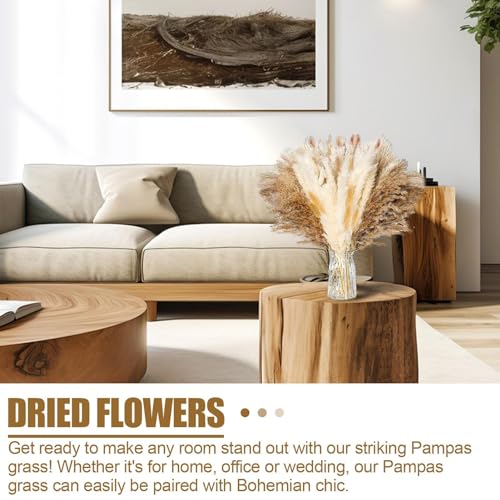 Plantas Secas para Decoração, Decoração de casa boho de grama de pampas fofa, Decorações de festa em