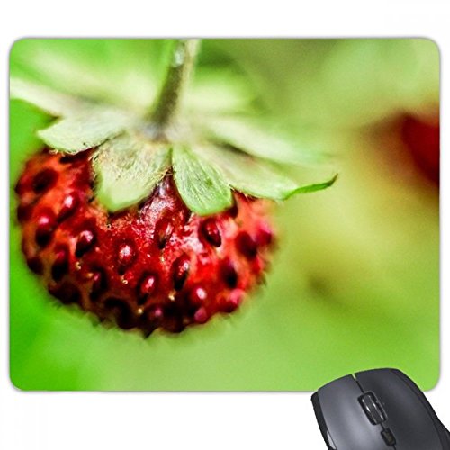 Tapis de souris de bureau de jeu antidérapant et tapis caoutchouc photographie nature
