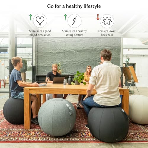 Image of Backerz Balance Ball Chair for Office & Home - Ergonomic Exercise Ball for Posture & Back Pain Relief, Yoga Ball Chair - Sitting Ball with Washable Linen Cover