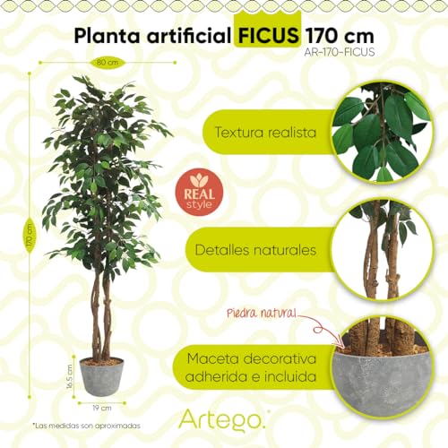 Encuentra la mejor selección de Macetas artificiales grandes que puedes comprar esta semana. 14 Encuentra la mejor selección de Macetas artificiales grandes que puedes comprar esta semana. 14