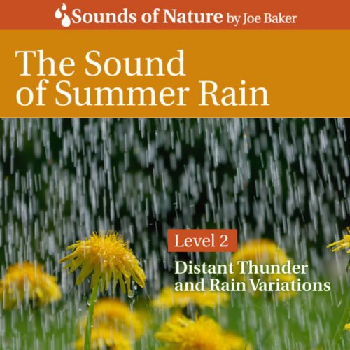 The Sound of Summer Rain