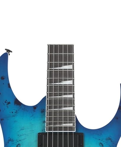 Amazon.com: Ibanez GIO GRGR221PA Electric Guitar - Aqua Burst
