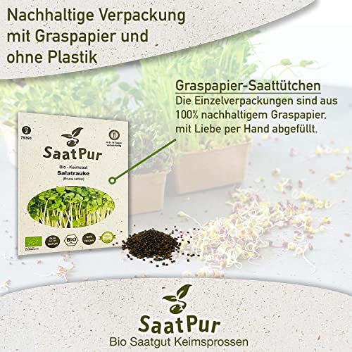 BIO Keimsprossen von SaatPur - Keimsaat für Salatrauke Rauke Sprossen, Microgreens - 75g