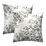 Mweet Chinoiserie - Juego de 2 fundas de almohada de 18 x 18 pulgadas,