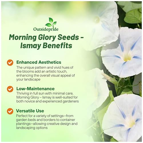 image for Outsidepride Ismay Morning Glory Seeds - 250 Pcs. Annual, Climbing & V