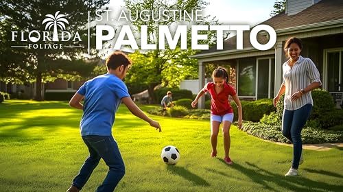St. Augustine Palmetto | 36 Live Extra Large Grass Plugs | Drought, Salt & Shade Tolerant Turf Sod - Thumbnail 4