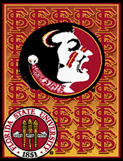The Northwest Company Florida State Seminoles NCAA 48x60 Triple Woven Throw Blanket