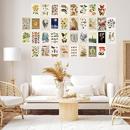 Botanical Wall Collage Kit Vintage Aestheic Room Decor Art Mushroom Poster for Dorm Wall Decor Art Prints for Teens Boys Girls Bedroom Decoration for Creature Animal Lovers with Delicat Box and Paste