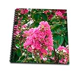 8 x 8 inches spiral bound glossy hard covered 9/16 inch twin loop wire binding spine 50 unlined pages, 8 x 7.75 inches - page thickness is 80lb text Acid free blank bright white non-coated paper Pages lay flat when book is opened