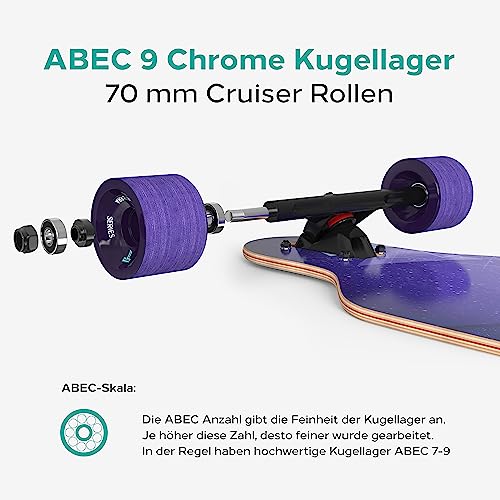 Longboard Sporterra für Erwachsene und Kinder im Vergleich
