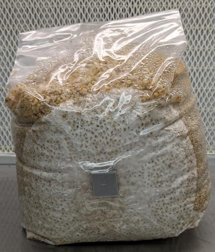 Spawn-Tek Mushroom bolsa de mijo de 3 libras con grano seleccionado para micología 7