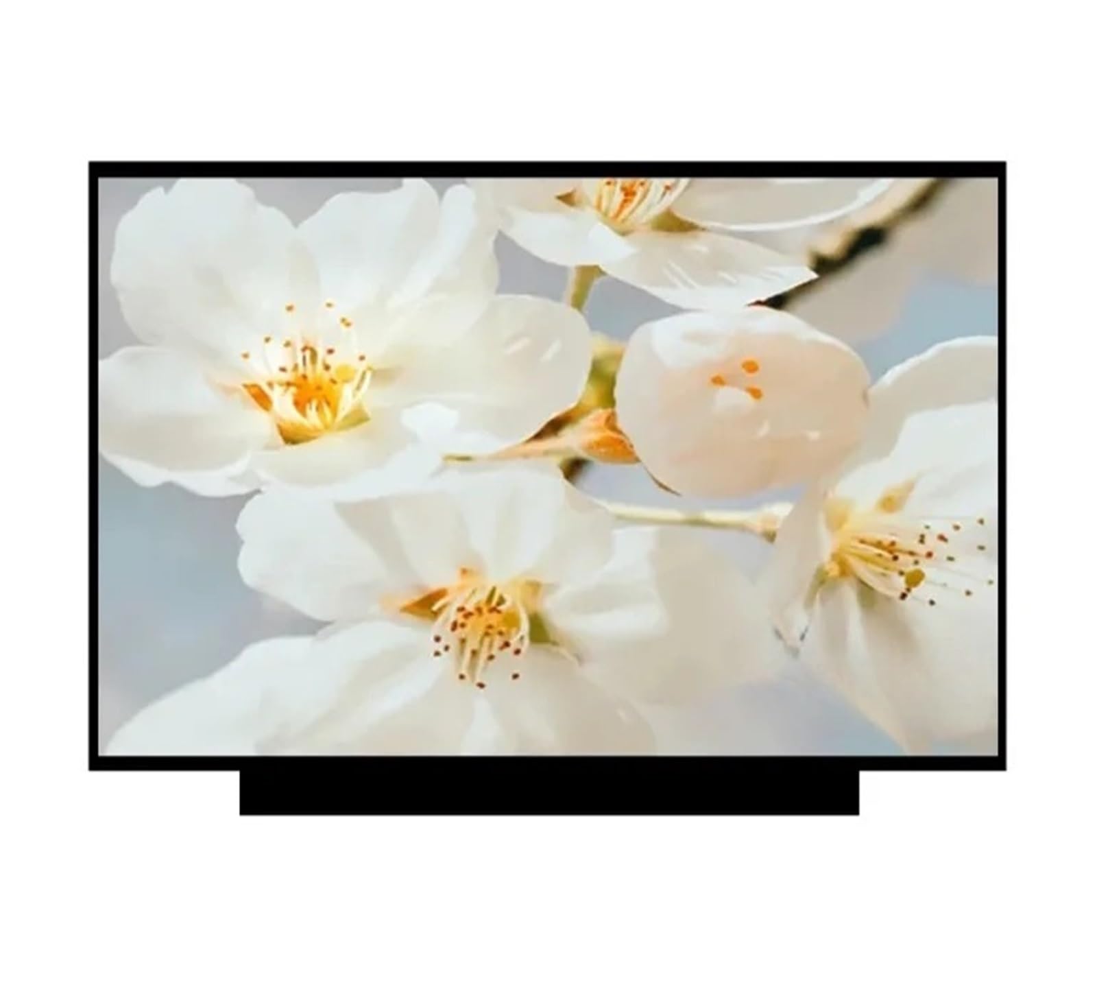 X390 S530-13IWL, Compatibile con Thinkpad, Schermo LCD
