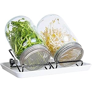 GoodGrow kiempot, kiemglas, set van 2 stuks, met hoogwaardig roestvrij stalen roosterdeksel, 2 instelbare houders…