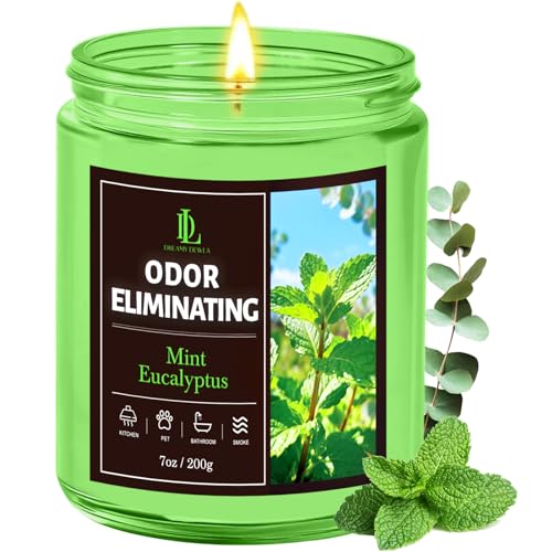 Mint Eucalyptus Odor Candle, 7 oz