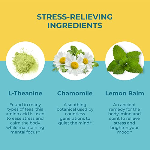 Hyland's Naturals Organic Elderberry Plus Gummies + Stress Busters Gummies With L-Theanine, Chamomile & Lemon Balm - 120 Vegan Adult Gummies (60 Of Each) #TOP6