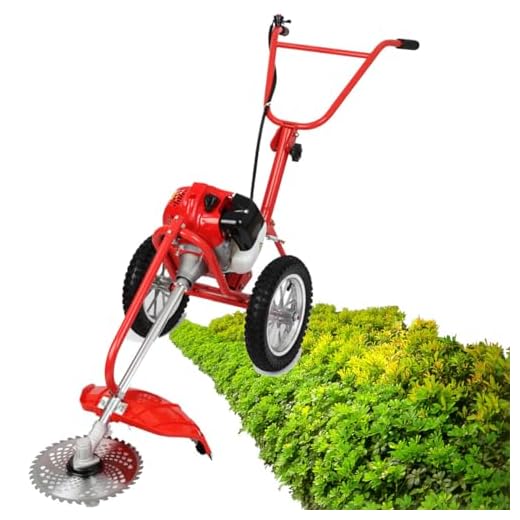 Vielseitiger Gas-Rasenmäher für alle Anforderungen