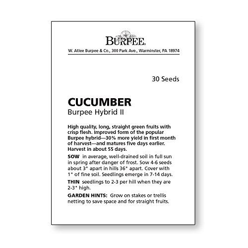 Burpee Hybrid Ii Slicing Cucumber Seeds 30 Seeds #TOP3