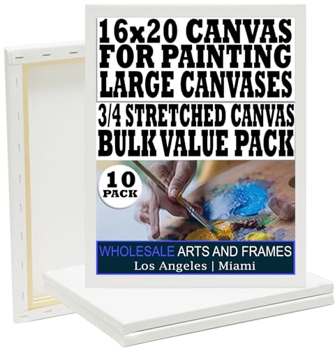 Stretched Canvas for Painting 16x20 10PK 3/4" 10 Oz. 16x20