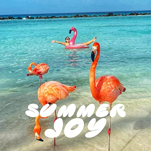 Boxgear Inflatable Float, Glitter Sequin Animal Pool Floats, Swimming Pool Ring, Pool Inflatables For Kids And Adults, Pool Toys Inflatable Flamingo Pool Float, Water Float (36 Inch) #TOP6