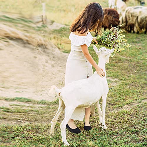 Obtaom Round Toe Women Flat Shoes Slip On Girls Dress Black Ballet Flats(Black Us5) #TOP5