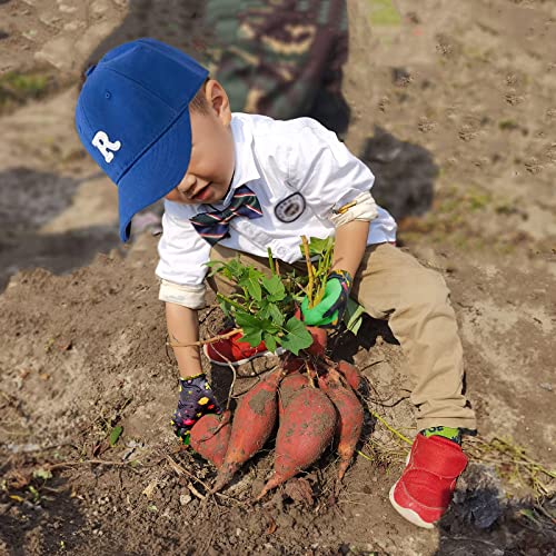 Kldollar Kids Gardening Gloves Kid Garden Gloves, Safety Rubber Coated Kids Work Gloves For Youth Girls Boys, Flexible & Breathable Yard Work Gloves (3-10 Years), Small (Pack Of 1) #TOP2
