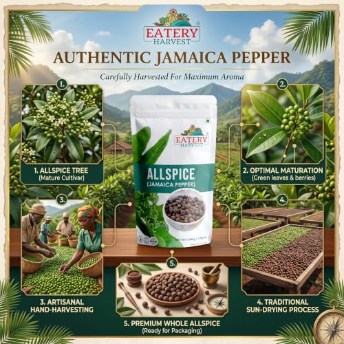 Image of EATERY HARVEST by Saipro Whole Allspice 100 gm, Allspice has flavor of all spices like Clove, Cinnamon, Nutmeg, Mace, Black pepper, best for Caribbean cuisine| Shital Chini| Kabab Chini | Piper Cubeba Linn Cubeb Berries Jamaica Pepper For Seasoning Vegetables, Fruits