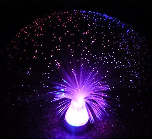 Fiber Optic Night Light with Color-Changing Crystal LED Table Lamp Battery Operated for Bedroom Office Table Centerpiece Decorations