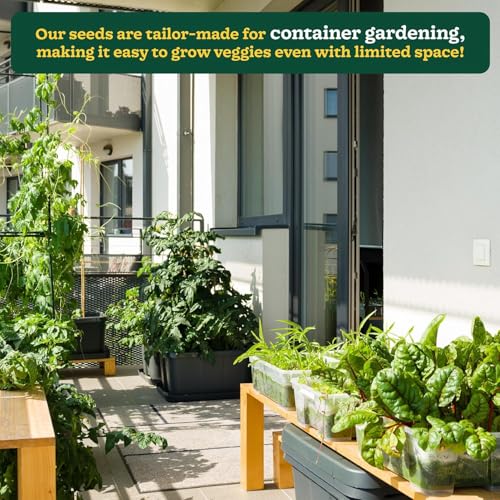 Image of Seedbazar 50 Variety Vegetable Seeds Combo Pack - 2000+ Seeds | Organic & Hybrid Mix for Home Gardening | All Season Kitchen Garden Kit for Balcony, Pots, Patio & Terrace