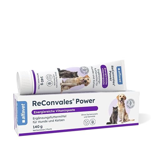 ReConvales®Power 140 g Complemento alimenticio dietético para perros y gatos para restauración nutricional…