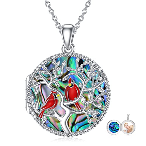 Iiw Red Cardinal Necklace/Urn Ashes Northern Cardinal Gift For Women Audubon Birds 925 Sterling Silver Jewelry For Women (Cardinal Abalone Shell Locket) #TOP7